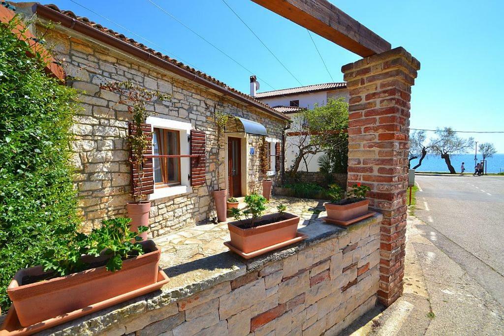 Villa Giardin Novigrad Istria Εξωτερικό φωτογραφία